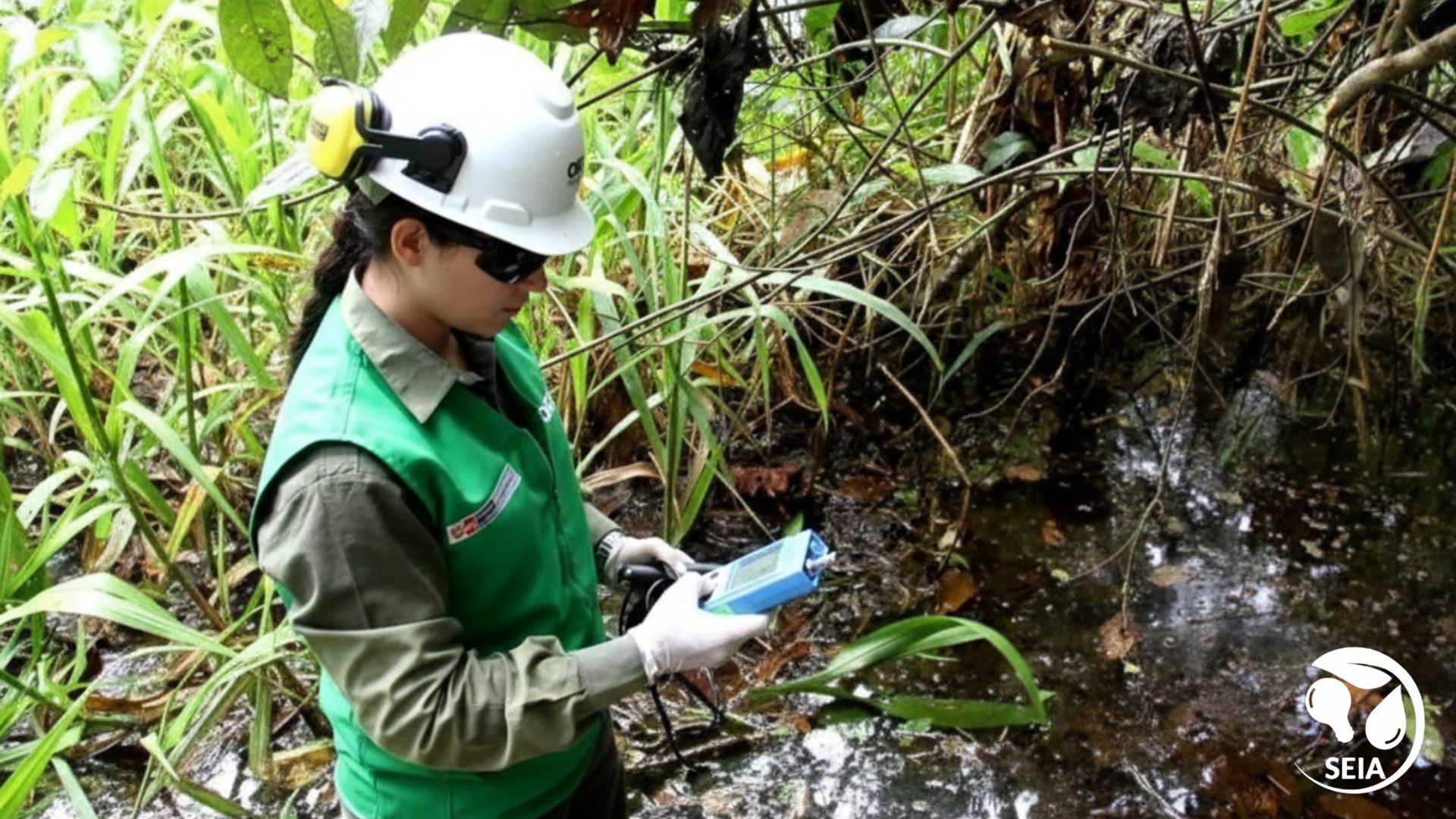 Gestión ambiental aplicada 2